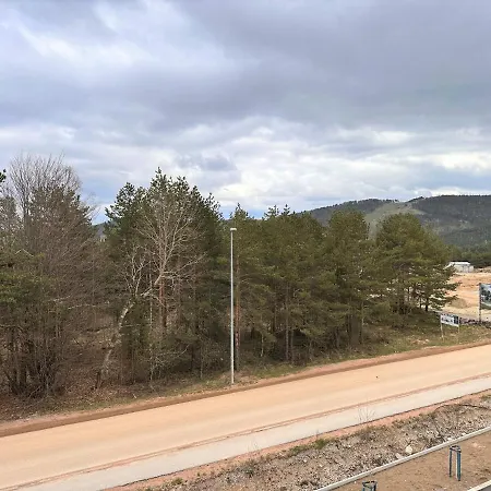 Apartament Lexi Borovi *